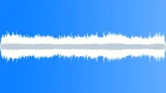 NEW YORK, CROWDSound Effect