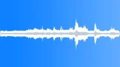 NEW YORK, CROWDSound Effect