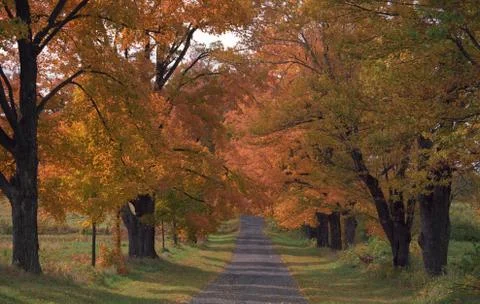 New York Fall Stock Photos