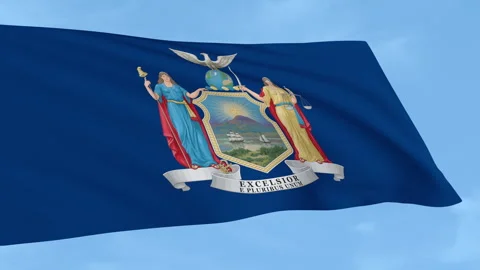 New York flag Stock Footage 321422509