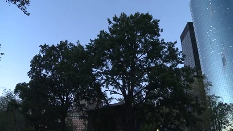 New York Stockbeeldmateriaal 77168210