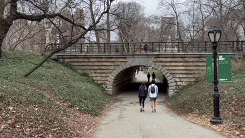 New York Stock Footage 172588433