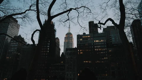 New York High-Rises Through Bare Branches Stock Footage 306809968