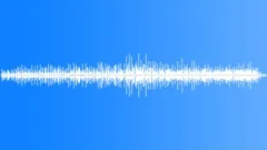 NEW YORK, HORSESound Effect