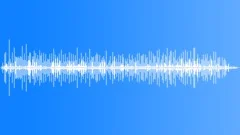 NEW YORK, HORSESound Effect