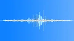 NEW YORK, HORSESound Effect