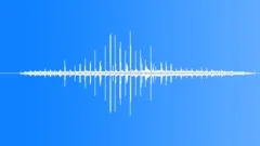 NEW YORK, HORSESound Effect