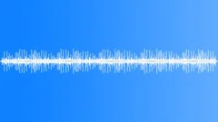 NEW YORK, HORSESound Effect