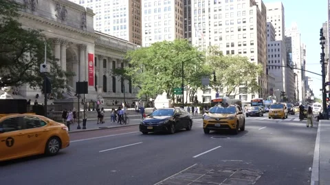 New York library Stock Footage 165244241