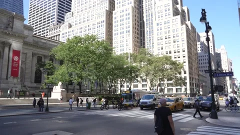 New York library Stock Footage 165244366