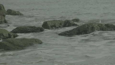 New York Ocean, Beach waves over mossy rocks on a cloudy Day, Raw Uncolored Stock Footage 171601435