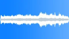 NEW YORK, PARK Sound Effect