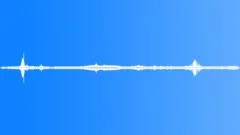 NEW YORK, PARKSound Effect