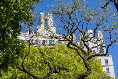 New York Stock Photos
