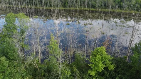 New York Pond Stock Footage 160239088
