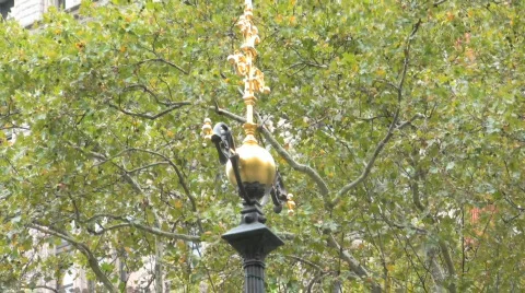 New York Scenes 動画素材 694244