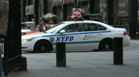 New York Scenes 스톡 동영상 694262