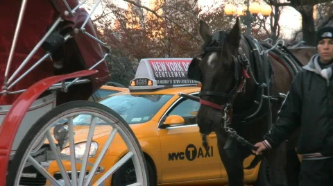 New York Scenes Stock Footage 694808
