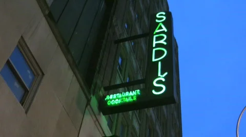 New York Scenes Stock Footage 694981