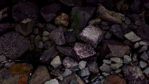 New York Skyline Stock Footage 101404804