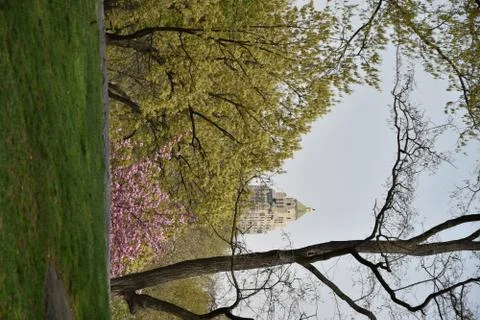 New York in spring Stock Photos