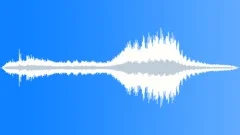 NEW YORK, SUBWAY STATIONSound Effect