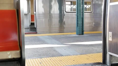 New York subway train, inside metropolitan wagon. United States metro transport Stock Footage 293275007