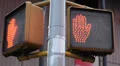 New York Traffic Sign Illuminated Pedestrians Crosswalk Waiting Passing Walking HD Footage