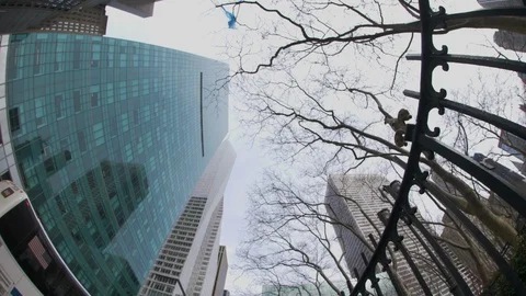 New York, USA. Upward view of city skyline buildings in Bryant Park with sky 動画素材 110821453