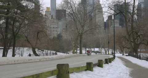New York's Central Park in Winter Vídeo Stock 330974740