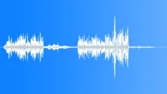 New Zealand Grey Flyeater Sound Effect