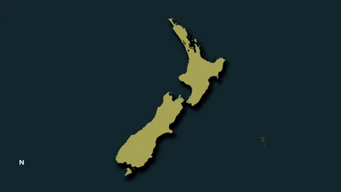 New Zealand map - solid. Shadow. Pattern. Labels Stock Footage 322714213