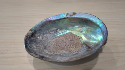 New Zealand Paua shell (Haliotis Iris) isolated on white background. Stock Footage 321634853
