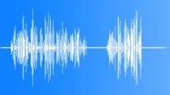 New Zealand Robin CU Sound Effect