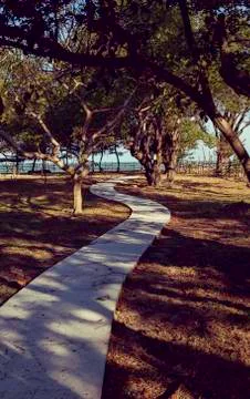 New zigzag pathway along the trees near the beach in sunset time Stock Photos