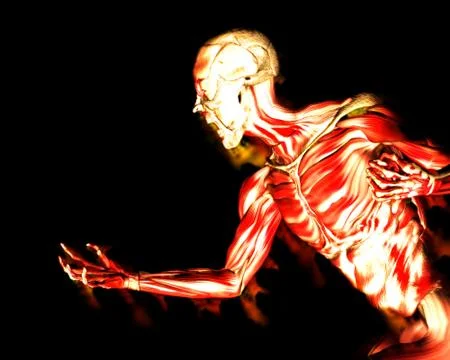New Zombie Stock Illustration