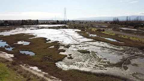 Newark Wetlands Stock Footage 124771146
