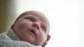 Newborn Baby Boy Swaddled 4k or 4k+ Resolution