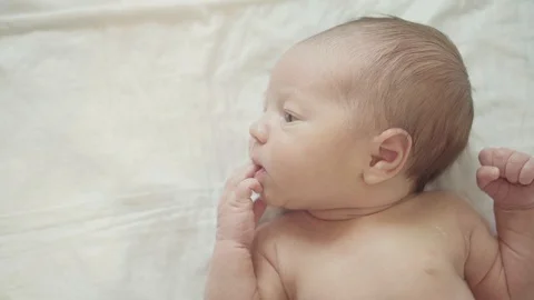 Newborn baby Stock-Footage 109319993