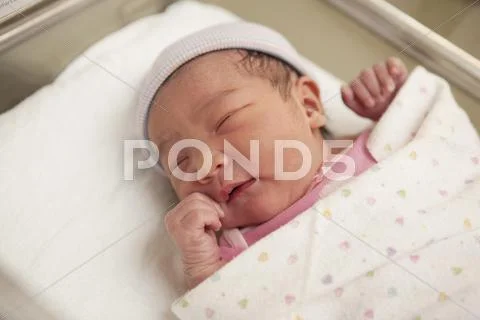 Newborn Baby Girl In Hospital Bassinet