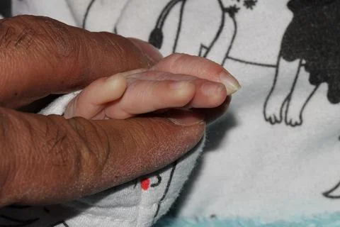 A newborn baby holds his father's hand Stock Photos