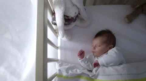 Newborn baby sleeping Stock Footage 36858007