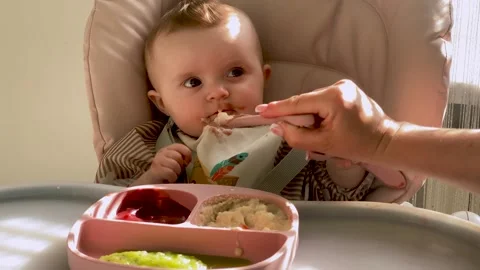 Newborn baby's first complementary feeding, starting baby food with a spoon Stock Footage 240558083