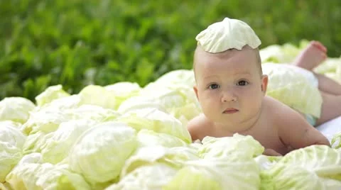 Newborn in cabbage Stock Footage 11318616