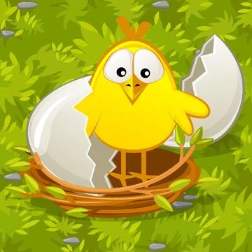 Newborn chick from an egg in nest on grass. Stock Illustration