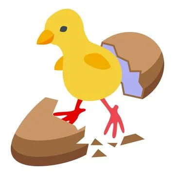 Newborn chick icon isometric vector. Chicken egg Stock Illustration