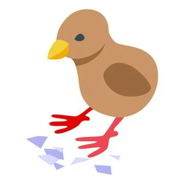 Newborn chicken icon isometric vector. Chick egg Stock Illustration