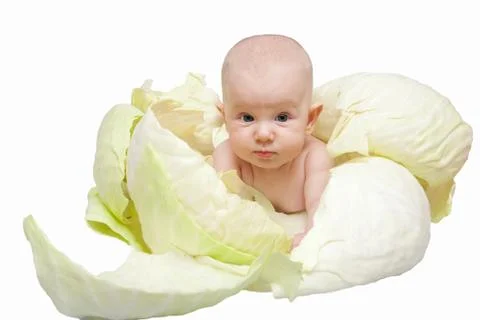 Newborn child in the cabage Stock Photos