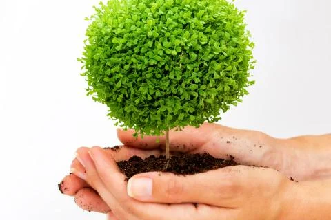 Newborn concept. Stock-Fotos