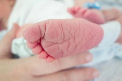 Newborn concept Stock Photos